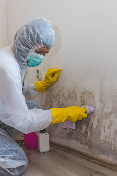 Best Industrial Mold Remediation  in Muskegon, MI