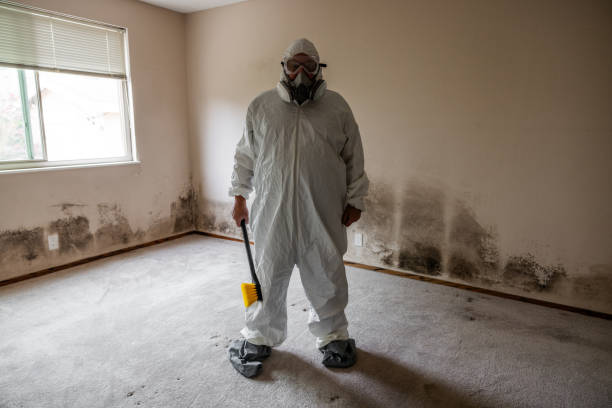 Best Air Quality Testing for Mold Spores  in Muskegon, MI